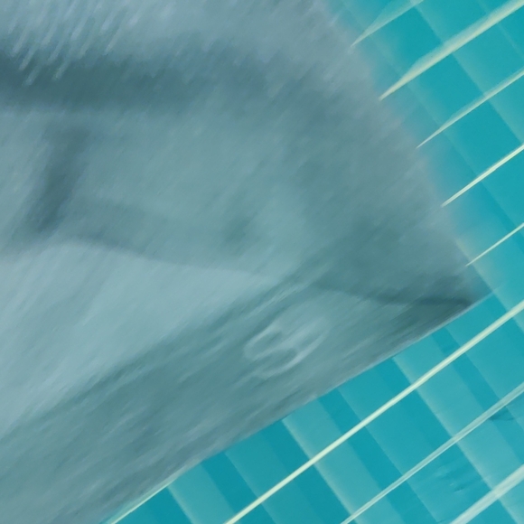 Men's Green T-Shirt - Picture 8 of 13